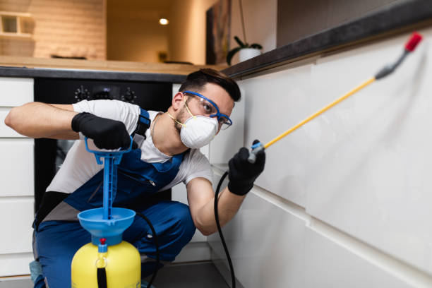 Best Affordable Pest Control Services  in New Haven, CT