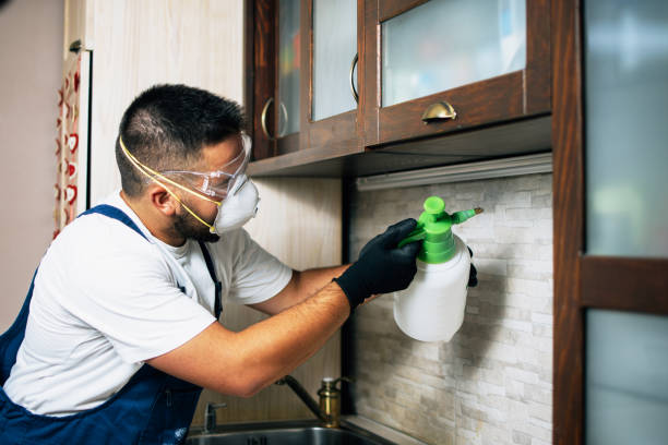 Best Commercial Pest Control Services  in New Haven, CT