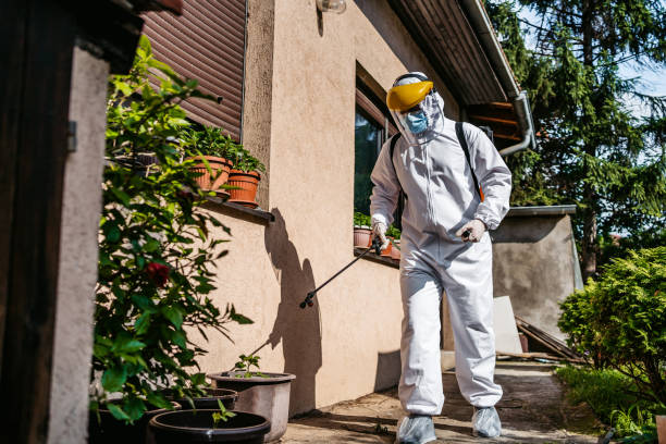 Best Local Pest Control Services  in New Haven, CT