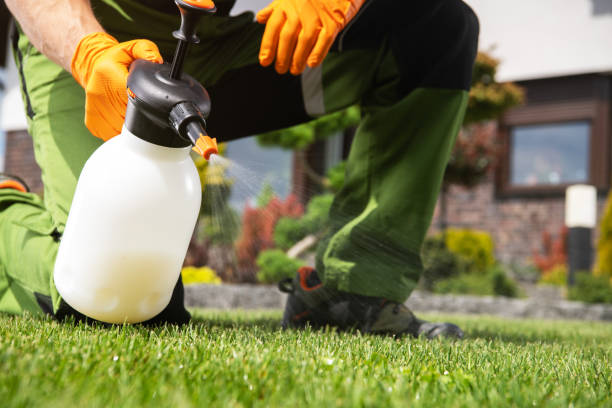 Best Bird Control  in New Haven, CT