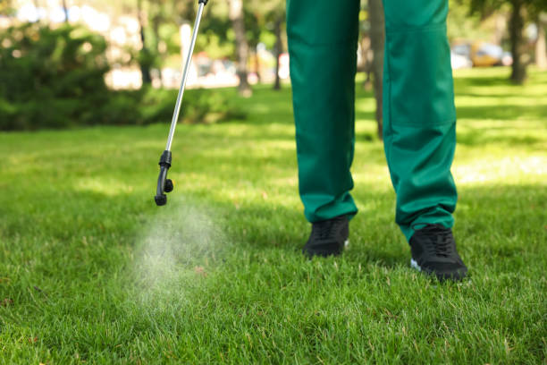 Best Insect Control  in New Haven, CT