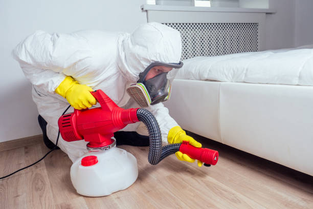 Best Pest Prevention Services  in New Haven, CT