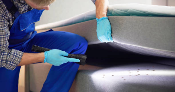 Best Exterminator Services  in New Haven, CT