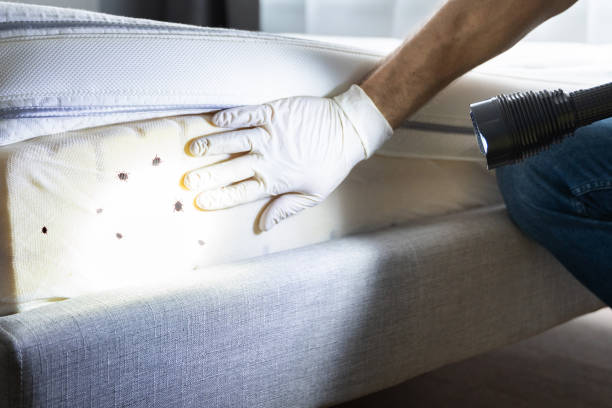 Best Wildlife Control Services  in New Haven, CT