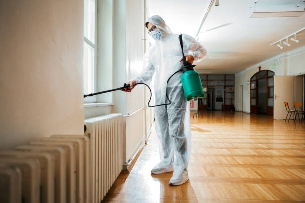 Reliable New Haven, CT Pest Control Solutions